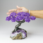 Custom Genuine Amethyst Clustered Gemstone Tree on Amethyst Matrix // The Protection Tree // v.5