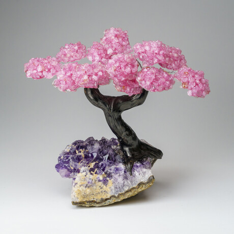 Custom Genuine Rose Quartz Clustered Gemstone Tree on Amethyst matrix // The Love Tree // v.5