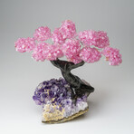 Custom Genuine Rose Quartz Clustered Gemstone Tree on Amethyst matrix // The Love Tree // v.5