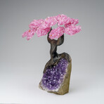 Custom Genuine Rose Quartz Clustered Gemstone Tree on Amethyst matrix // The Love Tree // v.3