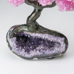 Custom Genuine Rose Quartz Clustered Gemstone Tree on Amethyst matrix // The Love Tree // v.2