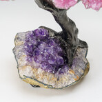 Custom Genuine Rose Quartz Clustered Gemstone Tree on Amethyst matrix // The Love Tree // v.4