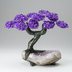 Custom Genuine Amethyst Clustered Gemstone Tree on Amethyst Matrix // The Protection Tree // v.4