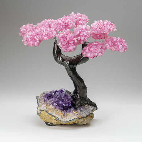 Custom Genuine Rose Quartz Clustered Gemstone Tree on Amethyst matrix // The Love Tree // v.4