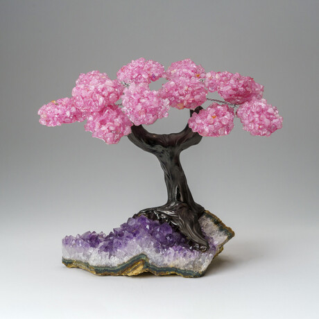 Custom Genuine Rose Quartz Clustered Gemstone Tree on Amethyst matrix // The Love Tree // v.7