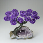 Custom Genuine Amethyst Clustered Gemstone Tree on Amethyst Matrix // The Protection Tree // v.7