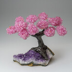 Custom Genuine Rose Quartz Clustered Gemstone Tree on Amethyst matrix // The Love Tree // v.7