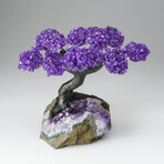 Custom Genuine Amethyst Clustered Gemstone Tree on Amethyst Matrix // The Protection Tree // v.5