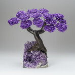 Custom Genuine Amethyst Clustered Gemstone Tree on Amethyst Matrix // The Protection Tree // v.1