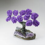 Custom Genuine Amethyst Clustered Gemstone Tree on Amethyst Matrix // The Protection Tree // v.8