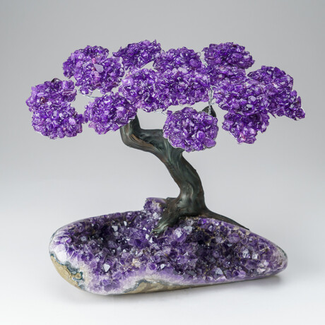 Custom Genuine Amethyst Clustered Gemstone Tree on Amethyst Matrix // The Protection Tree // v.2