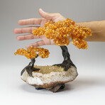 Custom Genuine Citrine Clustered Gemstone Tree on Citrine Matrix // The Calming Tree