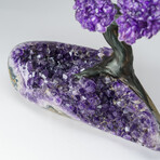 Custom Genuine Amethyst Clustered Gemstone Tree on Amethyst Matrix // The Protection Tree // v.2