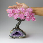 Custom Genuine Rose Quartz Clustered Gemstone Tree on Amethyst matrix // The Love Tree // v.6