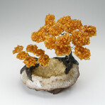 Custom Genuine Citrine Clustered Gemstone Tree on Citrine Matrix // The Calming Tree