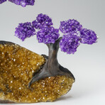 Custom Genuine Amethyst Clustered Gemstone Tree on Citrine Matrix // The Empowerment Tree // v.2