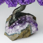 Custom Genuine Amethyst Clustered Gemstone Tree on Amethyst Matrix // The Protection Tree // v.5