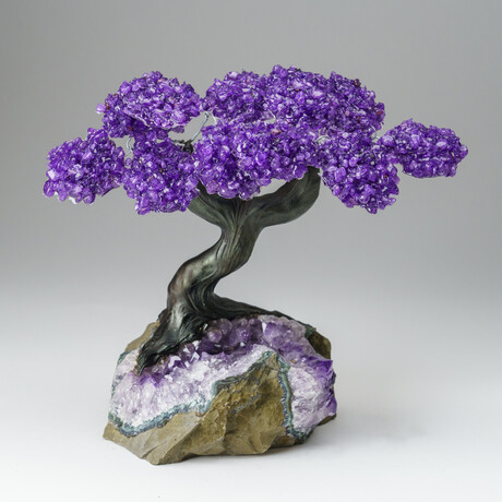 Custom Genuine Amethyst Clustered Gemstone Tree on Amethyst Matrix // The Protection Tree // v.5