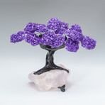 Custom Genuine Amethyst Clustered Gemstone Tree on Rose Quartz Matrix // The Protection Tree