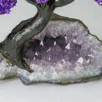 Custom Genuine Amethyst Clustered Gemstone Tree on Amethyst Matrix // The Protection Tree // v.7