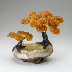 Custom Genuine Citrine Clustered Gemstone Tree on Citrine Matrix // The Calming Tree