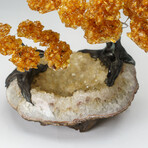 Custom Genuine Citrine Clustered Gemstone Tree on Citrine Matrix // The Calming Tree