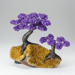 Custom Genuine Amethyst Clustered Gemstone Tree on Citrine Matrix // The Empowerment Tree // v.2