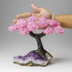 Custom Genuine Rose Quartz Clustered Gemstone Tree on Amethyst matrix // The Love Tree // v.7