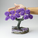 Custom Genuine Amethyst Clustered Gemstone Tree on Amethyst Matrix // The Protection Tree // v.8