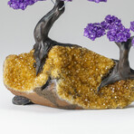 Custom Genuine Amethyst Clustered Gemstone Tree on Citrine Matrix // The Empowerment Tree // v.2