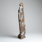 Genuine Polished Ammonite and Orthoceras Brown Statue // 16"