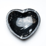 Genuine Polished Goniatite Fossil Heart Dish