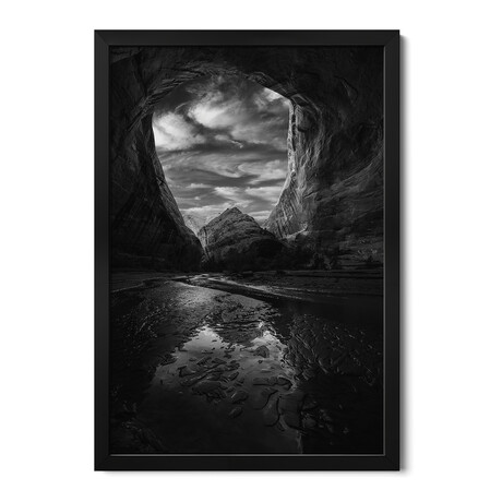 Coytote Gulch Black And White Premium Framed Posters (24"H x 16"W x 1"D)