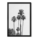 Palm Trees | Monochrome Premium Framed Posters