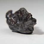 Genuine Sikhote Alin Meteorite in Display Box // 99.5 g