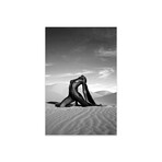 Pyramid Print on Acrylic by Gregory Prescott (16"H x 24"W x 0.25"D)