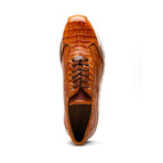 Alonzo // Caiman Fuscus Sneakers // Cognac (US: 8.5)