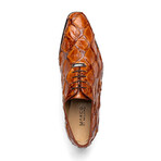 Olivieri // Pirarucu Oxford Shoes // Cognac (US: 8.5)