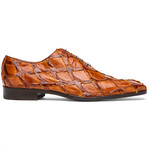 Olivieri // Pirarucu Oxford Shoes // Cognac (US: 8.5)