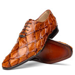 Olivieri // Pirarucu Oxford Shoes // Cognac (US: 8.5)