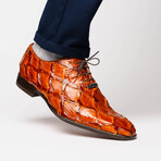 Olivieri // Pirarucu Oxford Shoes // Cognac (US: 8.5)