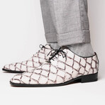 Olivieri // Pirarucu Oxford Shoes // Newspaper (US: 10)