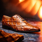 Olivieri // Pirarucu Oxford Shoes // Cognac (US: 8.5)