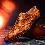 Olivieri // Pirarucu Oxford Shoes // Cognac (US: 8.5)