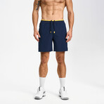 Hiflex Aero Shorts 7" Lined // Midnight Blue (XS)