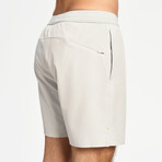 Hiflex Legacy Shorts 5" Lined // Silver Gray (XS)