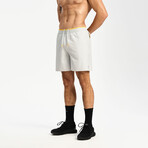 Hiflex Aero Shorts 7" Lined // Silver Gray (XS)