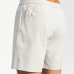 Hiflex Legacy Shorts 5" Lined // Silver Gray (XS)