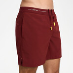 Hiflex Legacy Shorts 5" Lined // Burgundy (XS)