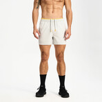 Hiflex Aero Shorts 5" Unlined // Silver Gray (XS)